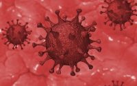 coronavirus-covid-19