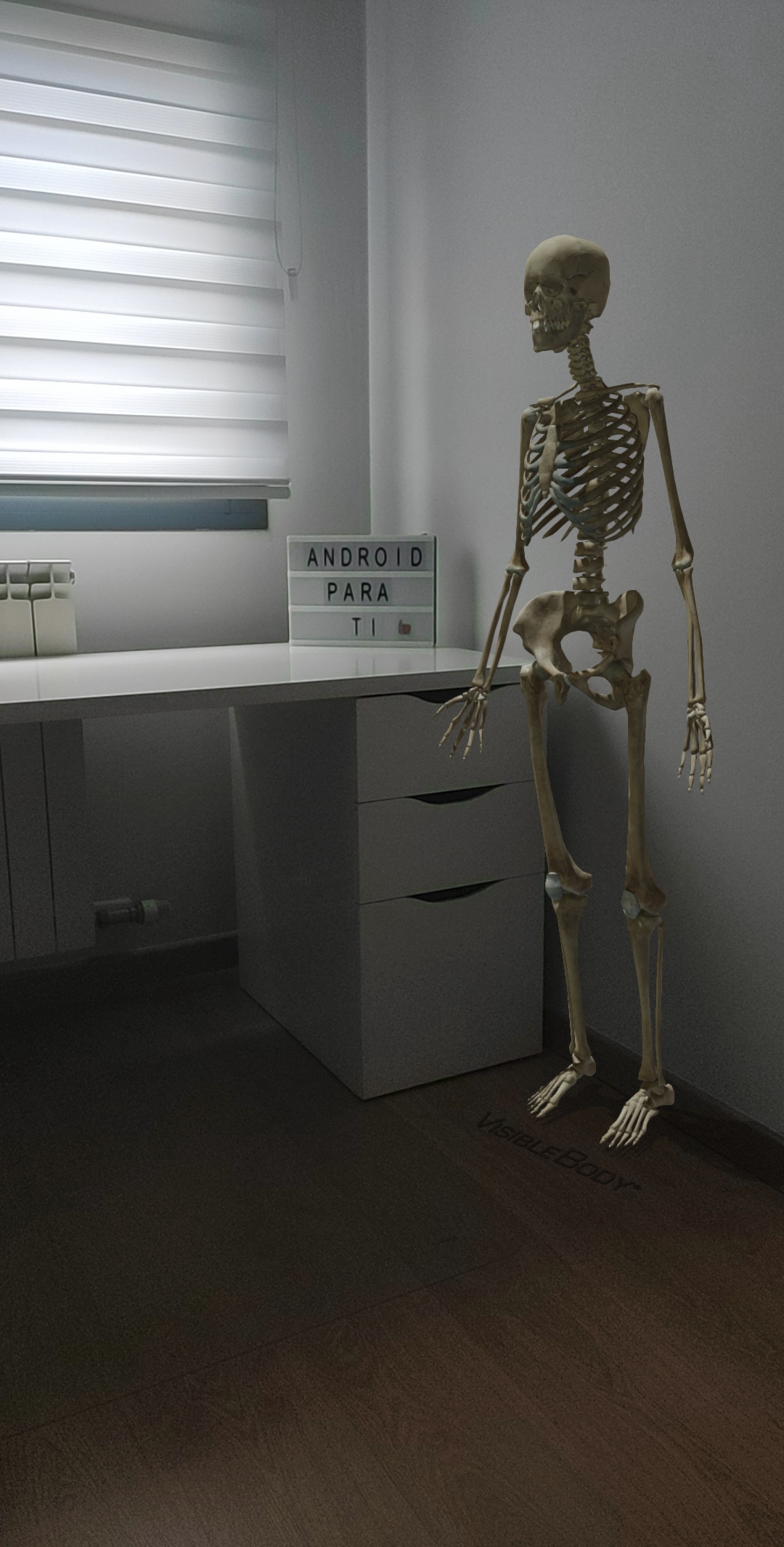 Esqueleto-3d-androidparati