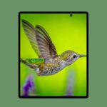 Samsung-Galaxy-Fold-2