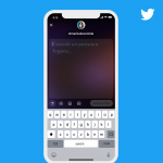 Twitter-fleets